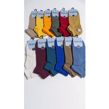 Aytuğ Cotton Erkek Patik Çorabı; Mevsimlik; Dikişsiz; Asorti 12'li Kutu; 41-45