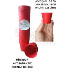 Tuğel Flowers 20 Adet Kırmızı Kaktüs&sukulent Üretim Saksısı (Mini Boy-5.5 Cm)