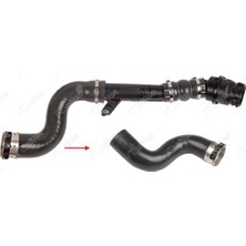 Nifea Nıfea 11483 Turbo Hortumuplastik Boru Hariç Renault Megane Iıı-Grand Scénic Iıı 144604343R-8201316998-8201313260