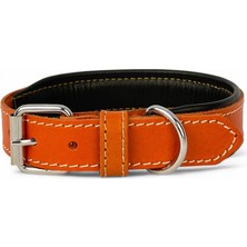 Canini Collar Rainbow S Hakiki Deri Orta & Küçük Köpek Tasması – S Beden, Orta ve Küçük K�