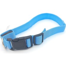 Spelt Neon LED Işıklı Pilli Aydınlatmalı Tasma Kedi Köpek Ayarlanabilir Boyun Tasması