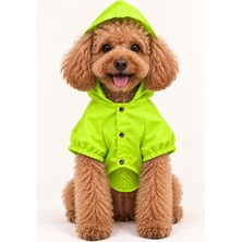 Patilemece Neon Yeşil Kedi Köpek Yağmurluğu