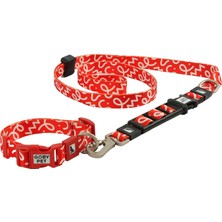 Gobypet Airmesh Köpek Gezdirme Boyun Tasma Seti Xs - Küçük Irk Köpek ve Kedi Gezdirme Tasması