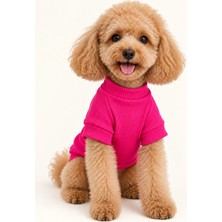 Patilemece Fuşya Balıkçı Yaka Kaşkorse Kedi Köpek Sweatshirt