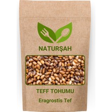 Naturşah Tef Tohumu 250 gr / Eragrostis Tef