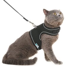 Bypet Yeni Nesil Nefes Alabilen Kedi Göğüs Tasması Seti (Small, Siyah)