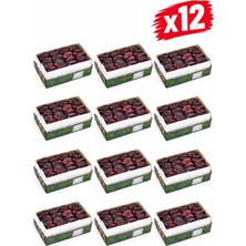 Hazar Gıda Lezzetli 12'li Paket 7200 kg Iran Hurması Koli Seti
