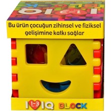 St. Morritz Lüx Kara Küp Bul Tak Oyun Seti