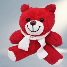 Meks Şık Kırmızı Peluş Sevgililer Günü Hediyesi