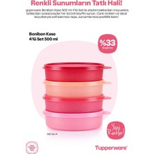 Tupperware Saklama Kabı