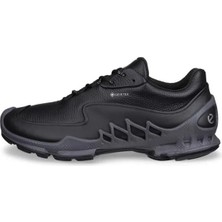 Ecco Biom Aex