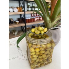 Adalılar Çiftliği Yeşil Kırma Zeytin