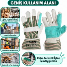 Starline Arge Toptan Deri Iş Eldiveni E-41 Ys No:10 1 Adet