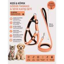 Baron Pet Içi Pedli Reflektörlü Kedi ve Köpek Göğüs Tasması Sevk Kayışı Seti Xs Beden 120 cm - Somon