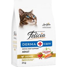 TKÇ Somonlu Az Tahıllı Yetişkin Kedi Maması 2kg