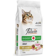 Motto Ticaret Tavuklu Az Tahıllı Yetişkin Kedi Mamasi 12KG Felicia