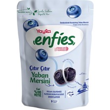 TeknoKapsül Yayla Enfies Freeze Dried Yaban Mersini