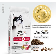 Motto Ticaret Kuzulu Az Tahıllı Yetişkin Köpek Mamasi 15KG Felicia