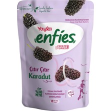 TeknoKapsül Yayla Enfies Freeze Dried Karadut