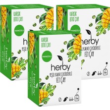 TeknoKapsül Herby Yeşil Kahve Çekirdekli Fit Çay, 3'lü Paket