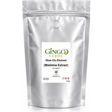 Gingo Ökse Otu Ekstresi (Toz) 1 kg