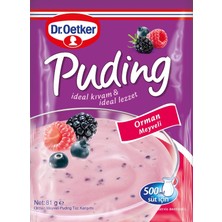 TeknoKapsül Dr. Oetker Puding Orman Meyveli 81 gr