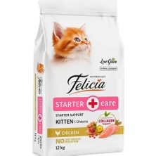 Akıllı Bayi Tavuklu Az Tahıllı Yavru Kedi Mamasi 12KG Felicia Aby