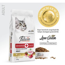 Akıllı Bayi Kuzulu Az Tahıllı Yetişkin Kedi Maması 12 kg Felicia Aby