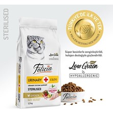 Akıllı Bayi Tavuklu Az Tahıllı Kısır Kedi Maması 12 kg Felicia Aby
