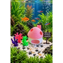 BarsDepo Pembe Beyaz Mantar Ev Tabela 3'lü Mercan Set- Akvaryum Içi Estetik Dekorasyon (8x8 Cm) Suya Batan Model