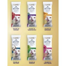Cans Lollipop Mix 15X1.4 gr