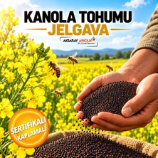 Aksaray Arıcılık 1 kg - Kanola Tohumu Jelgava (Arı Otu Tohumu)