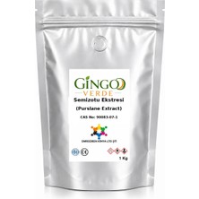 Gingo Semizotu Ekstresi (Toz) 1 kg