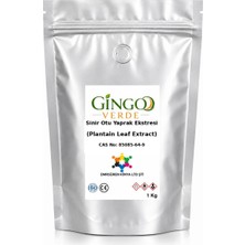 Gingo Sinir Otu Yaprak Ekstresi (Toz) 1 kg