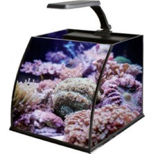 Haqos Belly Box 25 Ledli Sump Filtreli Nano Akvaryum 26x26x24cm Şık Tasarım