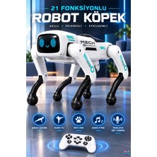 Brother Toys 21 Fonksiyon Uzaktan Kumandalı Akıllı Robot Köpek