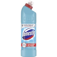 3 Adet Domestos Çamaşır Suyu Okaliptus 750 ml