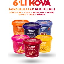 Fruwy Freeze Dried Kova 6'lı Paket (Çilek, Mango, Böğürtlen, Şeftali, Incir, Muz & Çilek Karışımı)