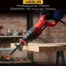 Eco Lounge Kırmızı Tilki Kuyruğu Elektrikli Testere 230V 0-2800 Rpm ASR-616 BX40