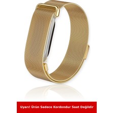 Nezih Case Google Fitbit Air ile Uyumlu Milanes Mıknatıslı Hasır Metal Kordon