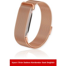 Nezih Case Google Fitbit Air ile Uyumlu Milanes Mıknatıslı Hasır Metal Kordon