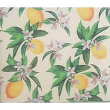 Renas Store 5 Adet Kurutmalık Mikrofiber Kurutma Bulaşık Altlığı