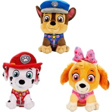 Midas Toptan 79552 Sun-Htı-Sbr-Peluş Paw Patrol Lıl Bodz Valentınes 28CM Paw 3A Midas