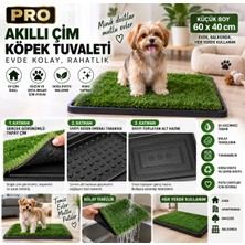 Black Gold Pro Akıllı Çim Köpek Tuvaleti 60X40 cm 3 Katmanlı Yıkanabilir Yapay Çim Evcil Hayvan Tuvaleti Küçük Boy