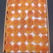 Kayısı Center Toptan Jumbo Sarı Kayısı Özel Dizim 5kg
