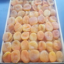 Kayısı Center Toptan Jumbo Kayısı Ekonomik 10KG
