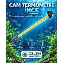 Cam Termometre Ince