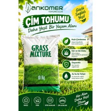 Grass Mixture 6'li Karışım Dayanıklı Çim Tohumu 10 kg ( Orjinal Ambalajda Gönderim)
