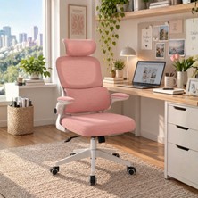 Drift Mona Çalışma Sandalyesi Fileli Bel Destekli 2d Başlıklı Home Office Koltuğu