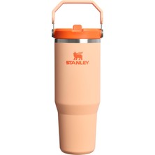 Stanley Iceflow Flip Straw Tumbler Pipetli Termos Su Şişesi 0.89 Litre - Orange Sherbet | Paslanmaz Çelik